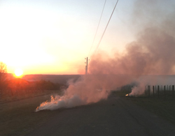 Sunrise smoke over vineyards