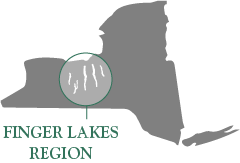 Finger Lakes Region Wineries