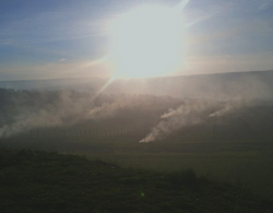Smoke over the vineyards