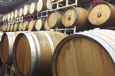 wine cellar barrels