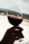 winter wine glass