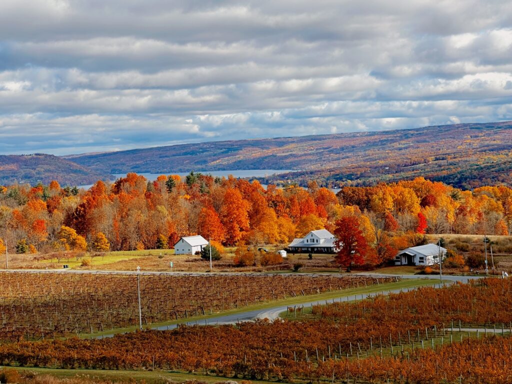 Fall image of Keuka Lake from Heron Hill Winery