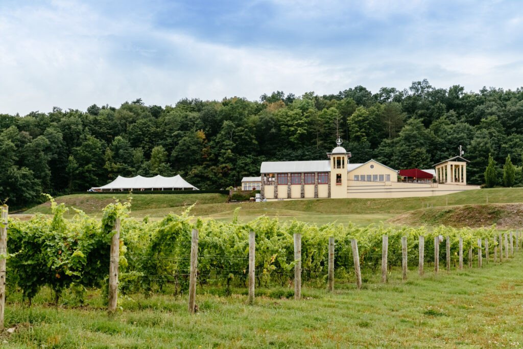 Photo of winery and vineyards