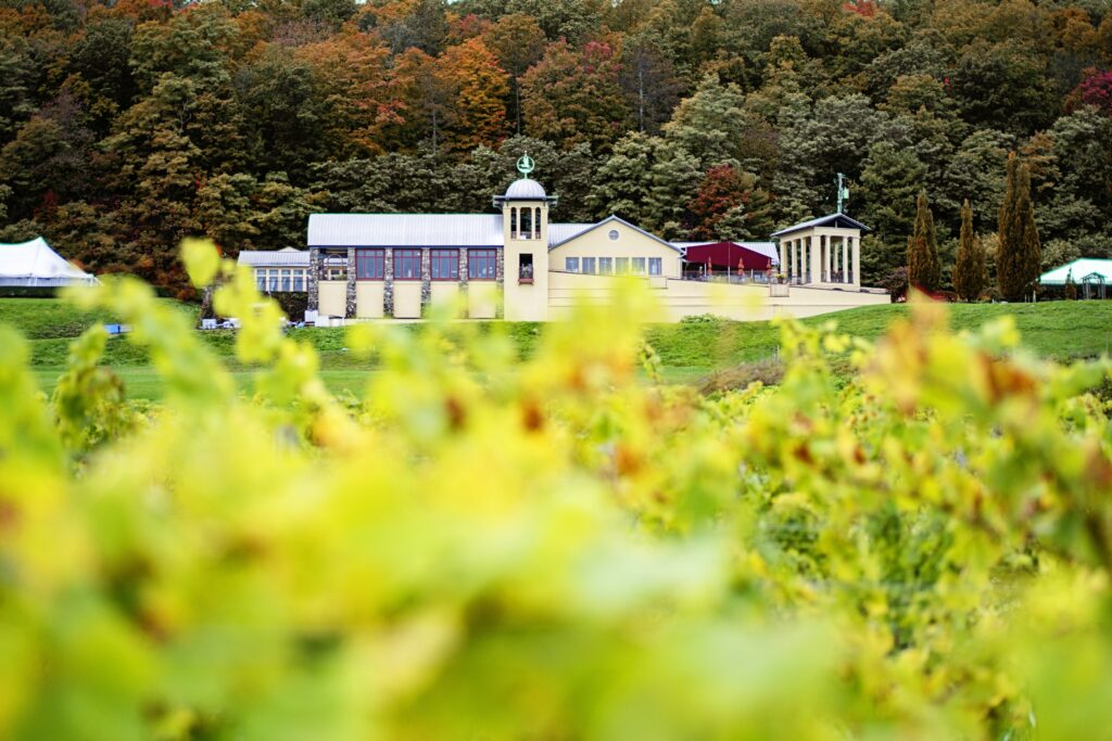Fall photo of heron hill winery